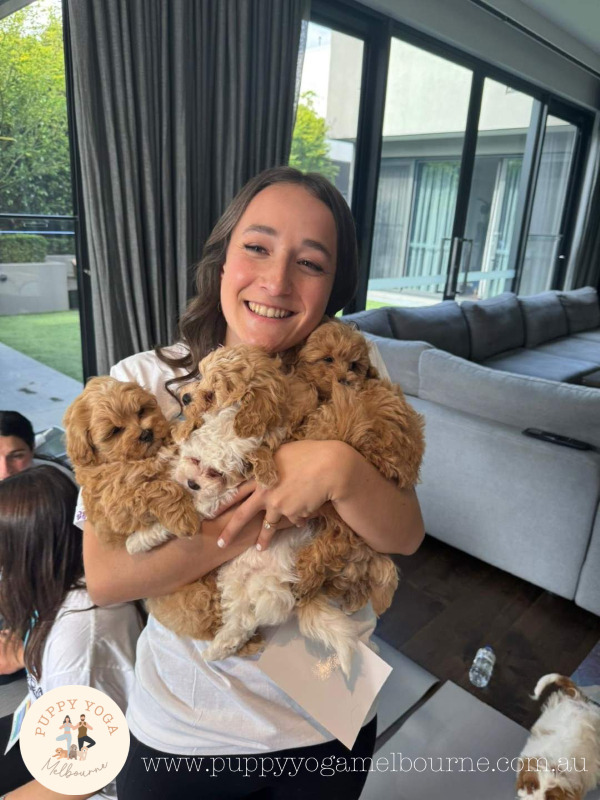 puppy-yuga-Private-Events-4